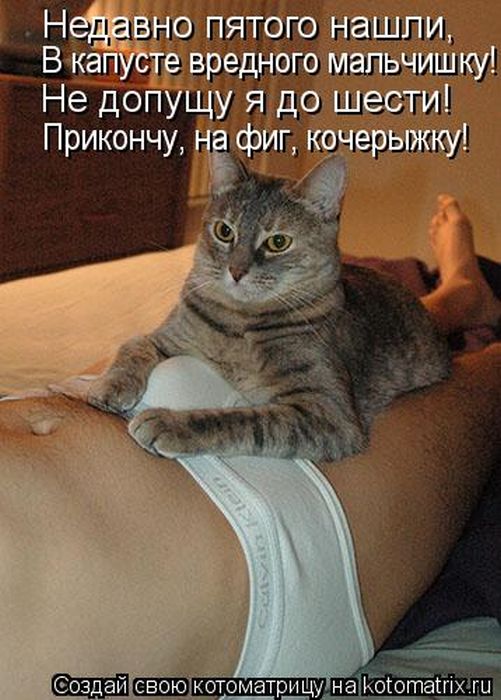 ����������� (49 ����)