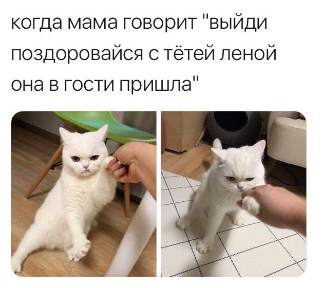 Мимимишности пост)