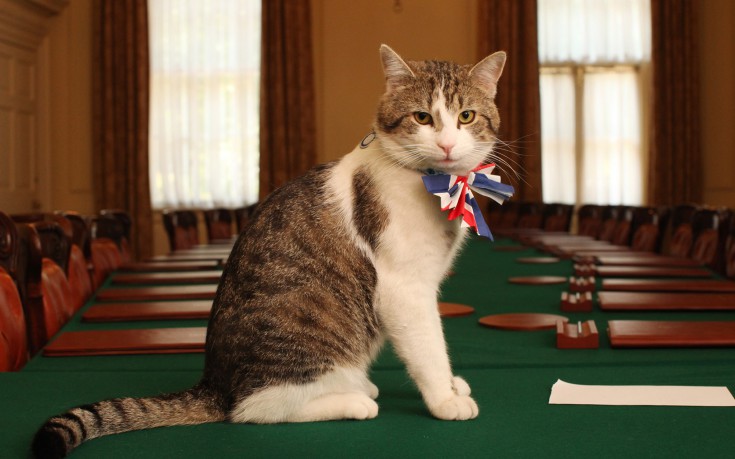http://s.nbst.gr/files/1/2016/07/larry-the-downing-street-cat-735x459.jpg