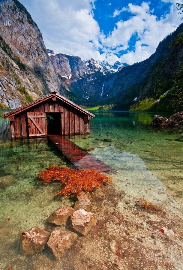 фото, красота, особенность