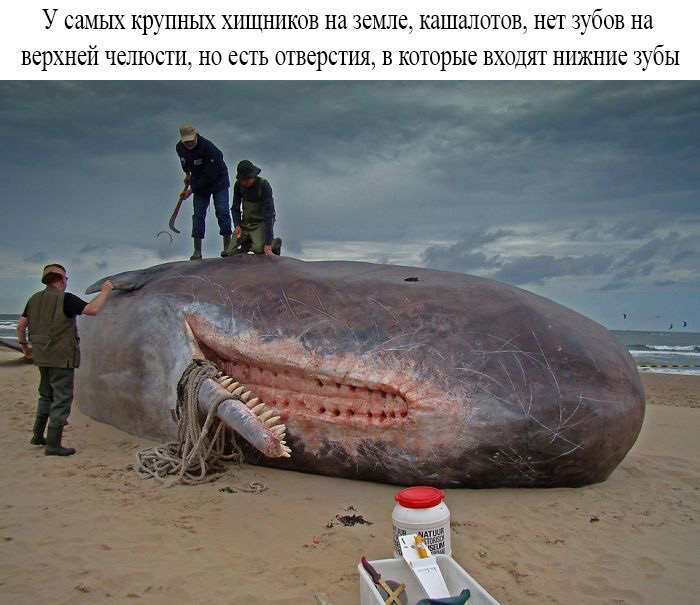 Неизвестная сторона знакомых вещей в фотографиях