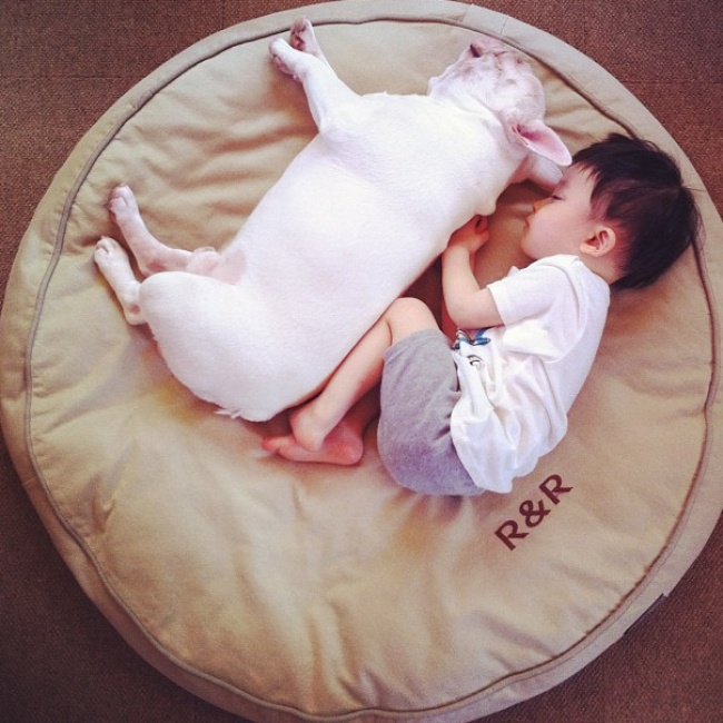 Милота года......Самые добрые и теплые события года, которые умиляют до глубины души.