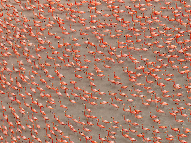 Лучшие фотографии National Geographic в июле