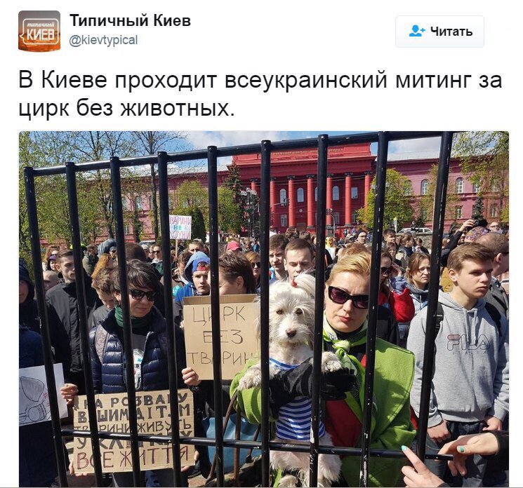 Немного новостей из Абсурдистана... Немного новостей из Абсурдистана...