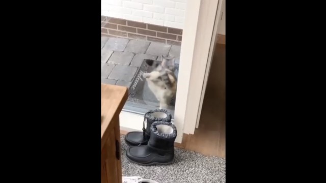 Холоп, дверь открой, барин вернулся! Холоп, дверь открой, барин вернулся!