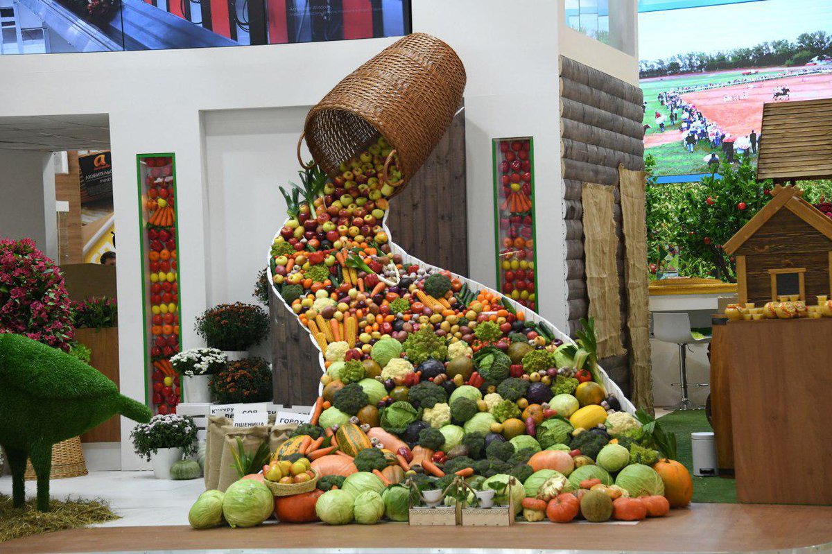https://360tv.ru/media/uploads/article_images/2019/10/49753_photo_2019-10-09_16-19-51.jpg