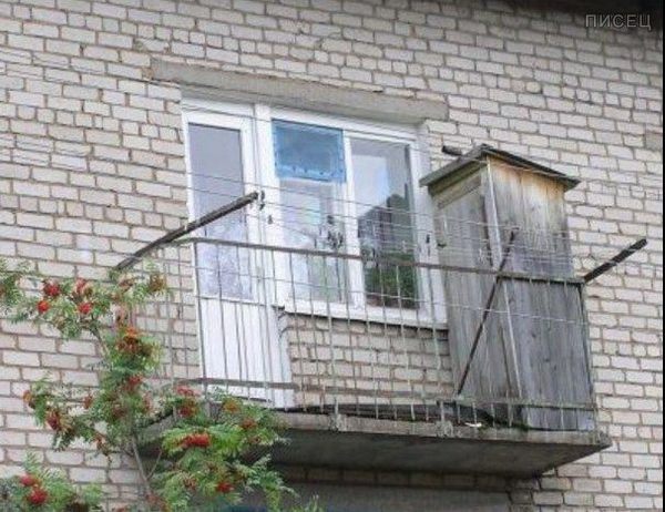 Тот самый случай, когда мечтаешь о частном доме, но пока живёшь в квартире Тот самый случай, когда мечтаешь о частном доме, но пока живёшь в квартире