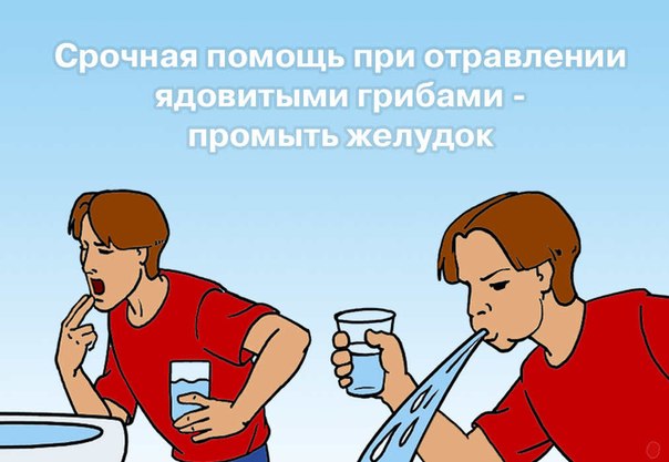Помощь желудку в домашних условиях Помощь желудку в домашних условиях