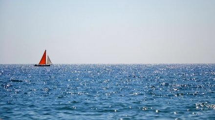 Дети воронежских чиновников отдохнули на курортах вместо больных детей