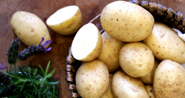 Готовим клубни картофеля к посадке: как не упустить важные моменты
