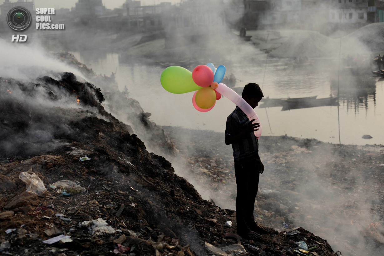 Лучшие снимки фотоконкурса National Geographic 2013