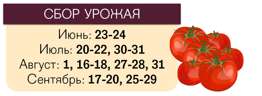 Лунный календарь посева помидоров на 2018 год Лунный календарь посева помидоров на 2018 год