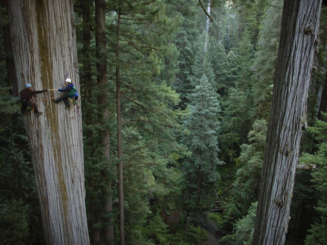 Лучшие фотографии мая 2012 от National Geographic