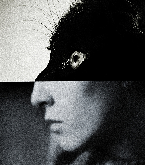 brett walker daily evolver