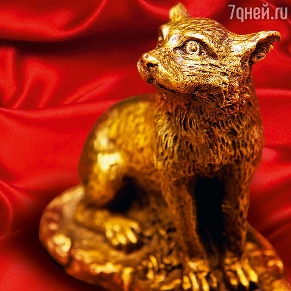 Год собаки: что он нам принесет? Год собаки: что он нам принесет?