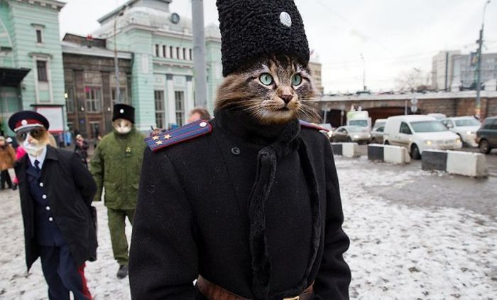 Смешная фотогалерея