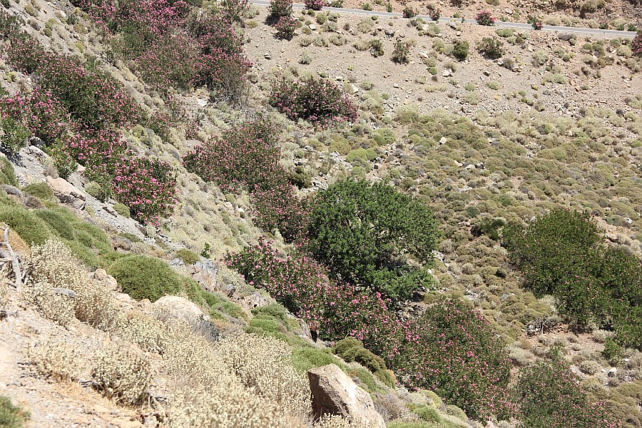 Элафониси, розовые пески, пляж, горы, море, путешествия, фотография, Аксанов Нияз, kukmor, Греция, красота, of IMG_0006
