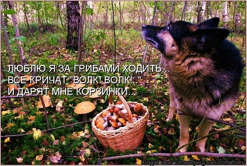Идут по дороге Мальвина, Дюймовочка и Баба Яга... Идут по дороге Мальвина, Дюймовочка и Баба Яга...