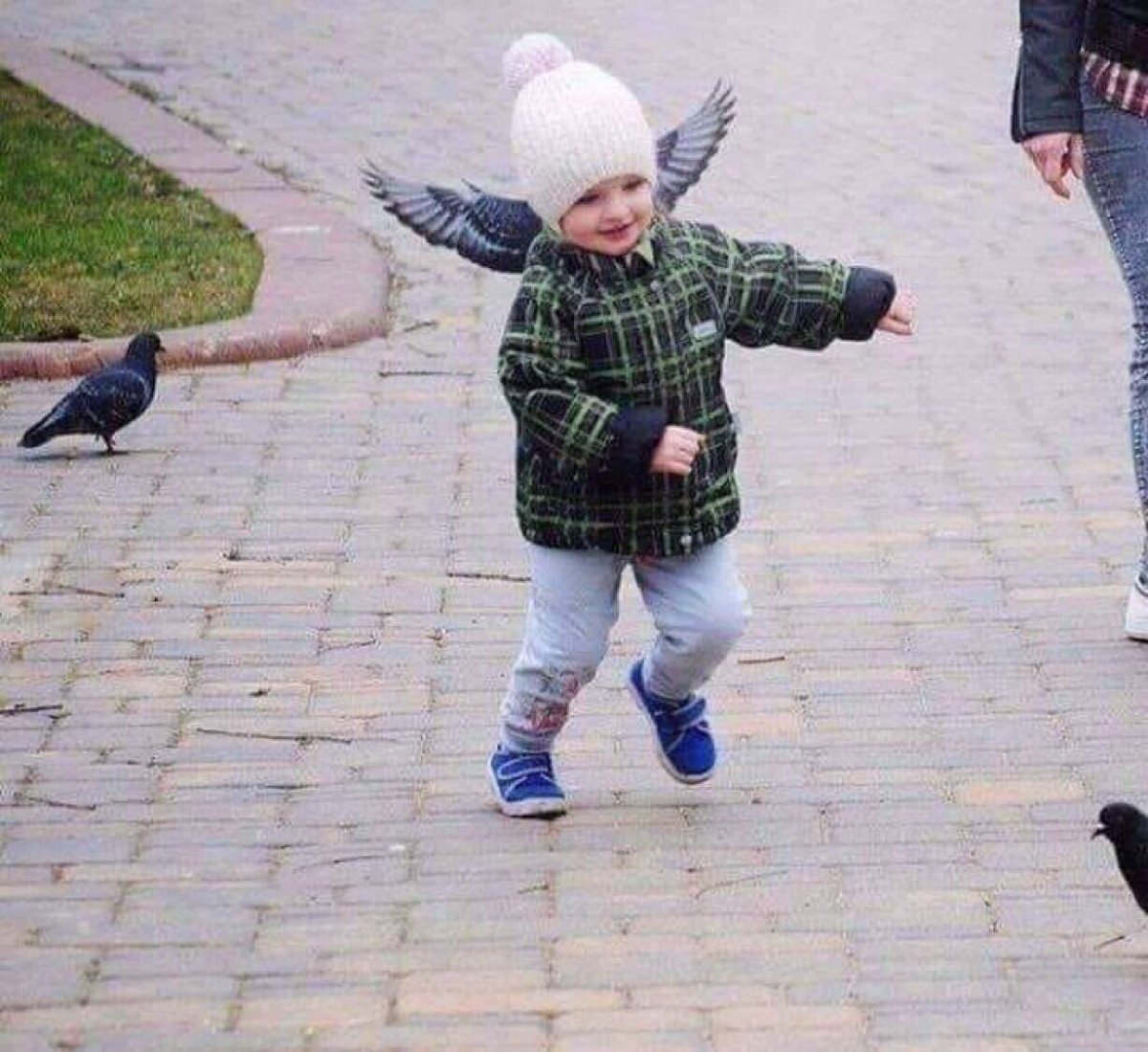 Без фотошопа, но не природа