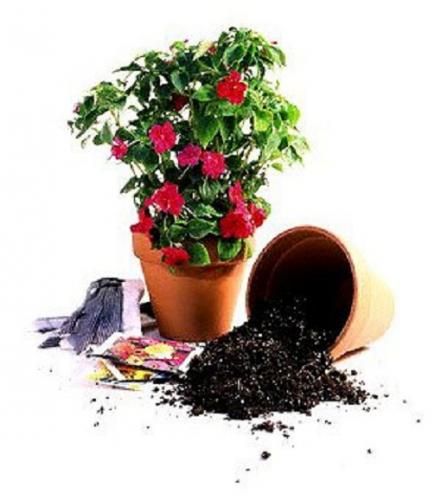 ��� ��������� �� ���������� ����������