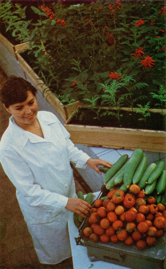 Баренцбург, 1960-е гг.