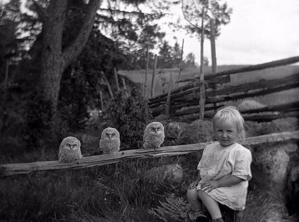 Девочка и три совенка, 1925 год знаменитости, исторические фотографии, история, редкие фотографии, фото