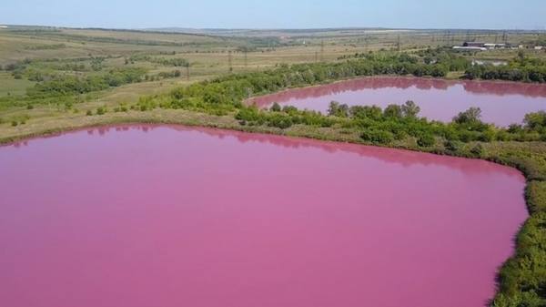 В Самарской области обнаружили три озера с розовой водой