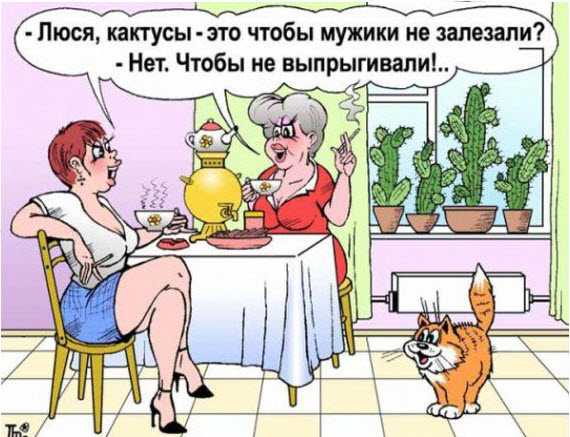Овощной юмор и анекдоты об овощах.... и + 2 прикольных видео. Овощной юмор и анекдоты об овощах.... и + 2 прикольных видео.
