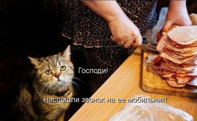 ������ ����������� ������ (50 ����)