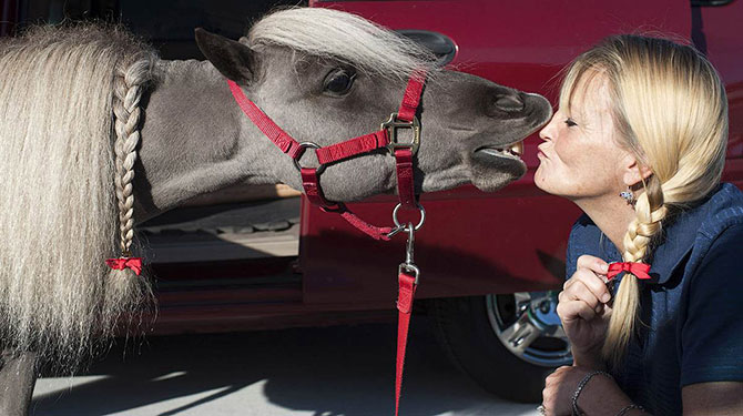 Животные в фотографиях