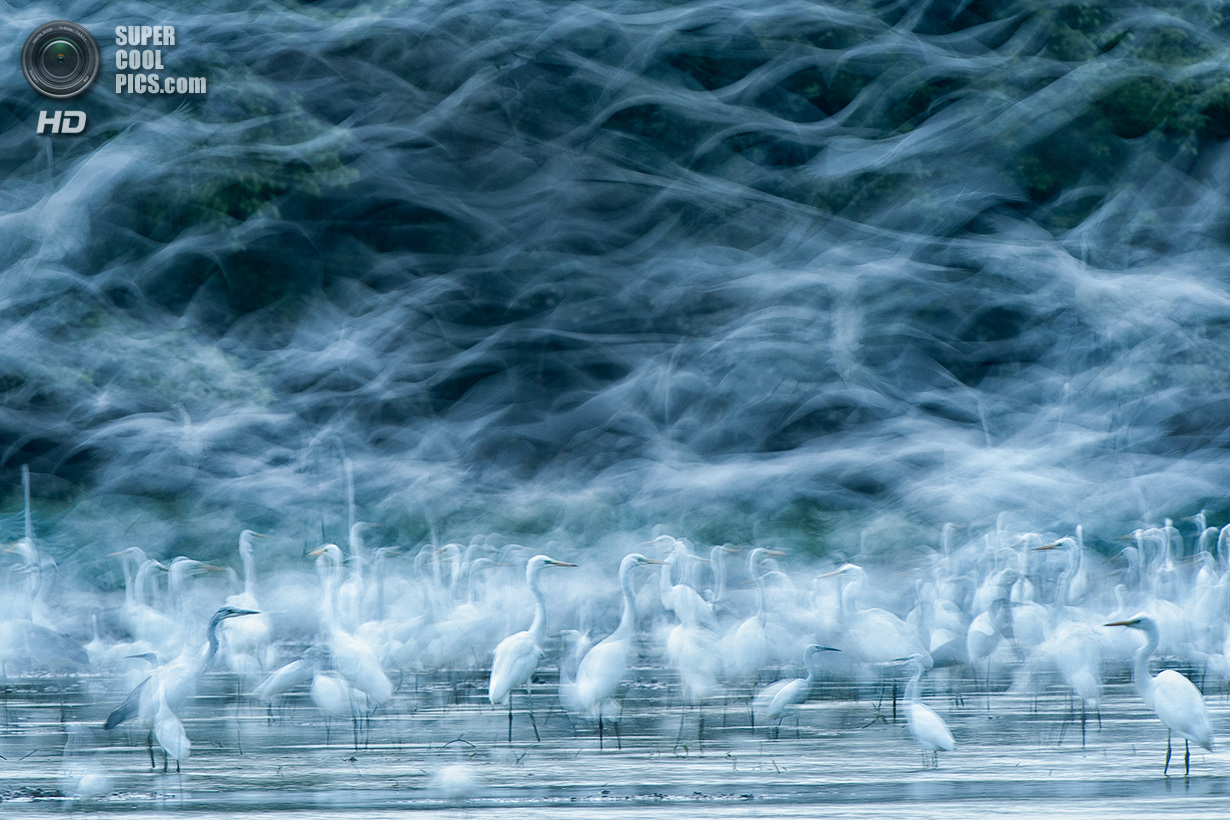 Лучшие снимки фотоконкурса National Geographic 2013