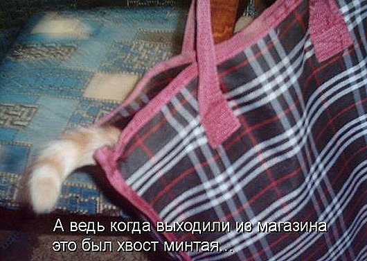 974aabd44b4246dfd9646bda1b0_prev