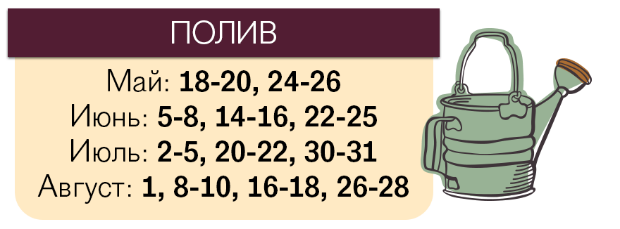 Лунный календарь посева помидоров на 2018 год Лунный календарь посева помидоров на 2018 год
