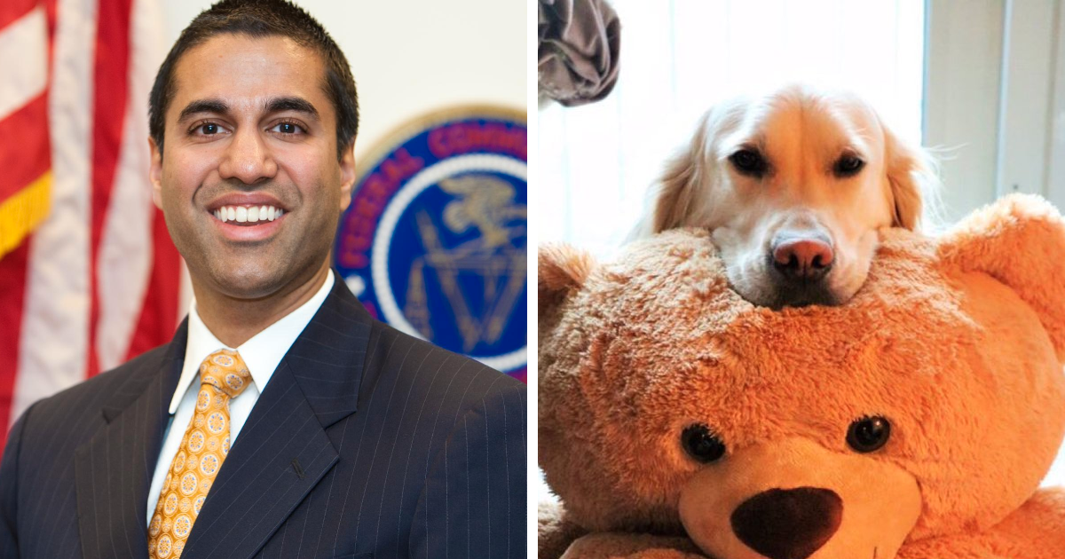 ‘WeRateDogs’ Owner Realizes Net Neutrality Killer Ajit Pai Follows Him On Twitter, Gives Him A Taste Of His Own Medicine