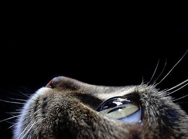 Коллекция позитивных фотографий №12 Коллекция позитивных фотографий №12