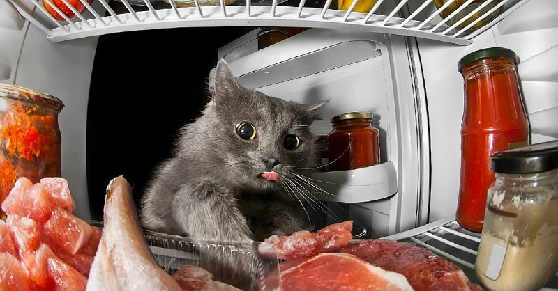 Какие продукты вызывают чувство усталости