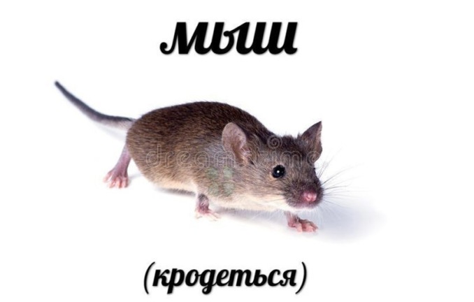 10 самых популярных мемов уходящего десятилетия