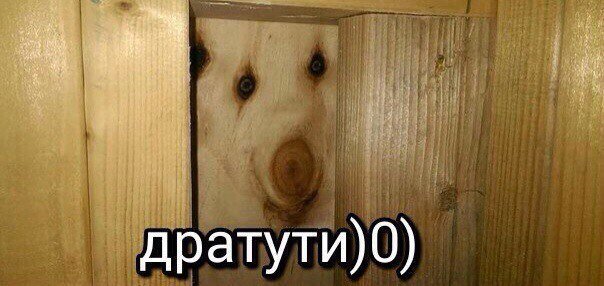 10 самых популярных мемов уходящего десятилетия
