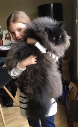 https://lemurov.net/wp-content/uploads/2017/11/13-61.jpg