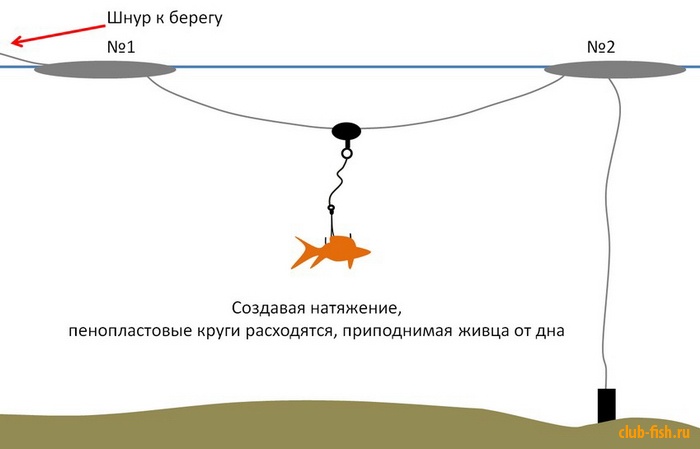 ловля красноперки на живца ловля красноперки на живца