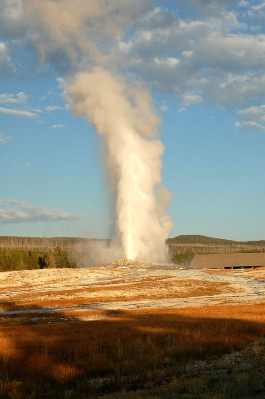 Гейзер «Старый служака» (Old Faithful Geyser). Фото.