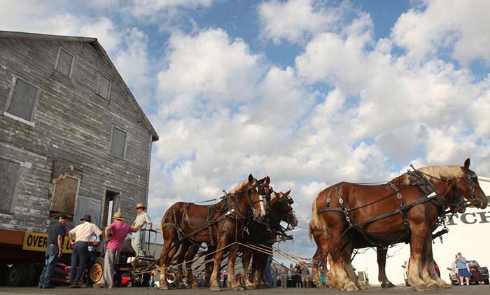 Искусство переезда, или Как 100 лет назад лошади перевозили целые дома