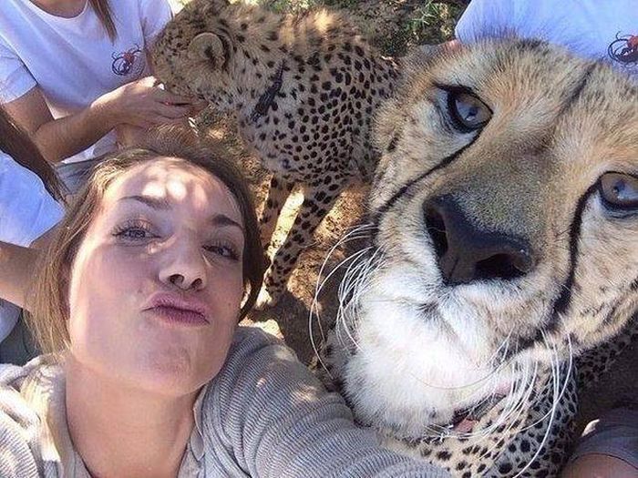 Яркие краски нашего мира в фотографиях Яркие краски нашего мира в фотографиях