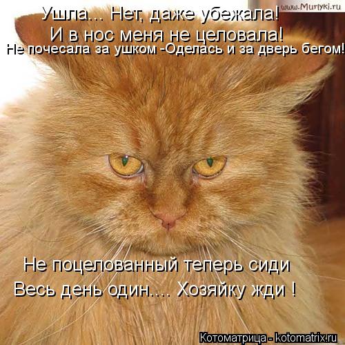 Ушла... Нет, даже убежала! И в нос меня не целовала! Не почесала за ушком -Оделась и за дверь бегом! ... Ушла... Нет, даже убежала! И в нос меня не целовала! Не почесала за ушком -Оделась и за дверь бегом! Не поцелованный теперь сиди Весь день один.