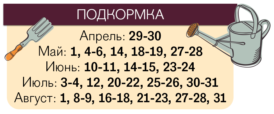 Лунный календарь посева помидоров на 2018 год Лунный календарь посева помидоров на 2018 год
