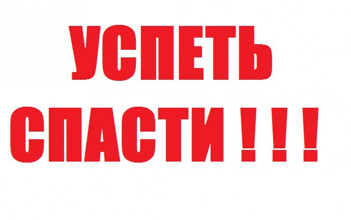 В этом дворе котята почти никогда не выживают... Помогите, хотя бы временным домом!