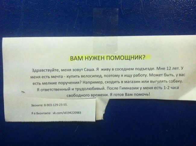 Самые оригинальные народные объявления уходящего года объявления, юмор