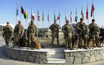 Пушечный фарш