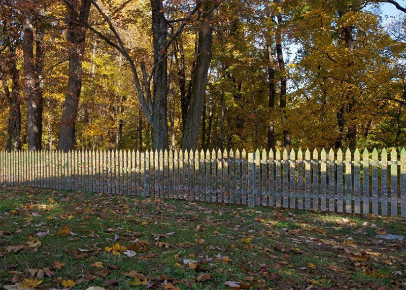 Заборы, которые становятся прозрачными, сливаясь со временем года Заборы, которые становятся прозрачными, сливаясь со временем года