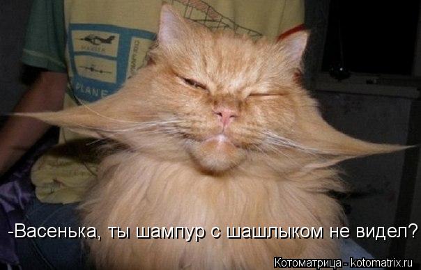 -Васенька, ты шампур с шашлыком не видел?... -Васенька, ты шампур с шашлыком не видел?